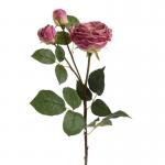 Szálas rózsa rózsaszin